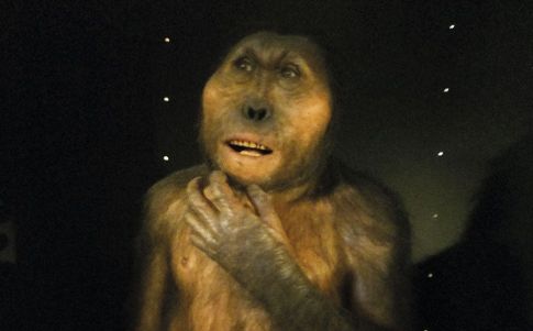 El hombre salvaje de Vietnam