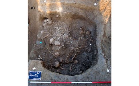 Conjunto de restos humanos encontrados en Potočani, Croacia (Novak M. et al)