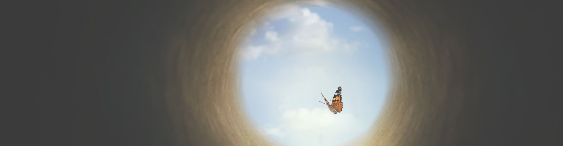 OK cabecera evento muerte