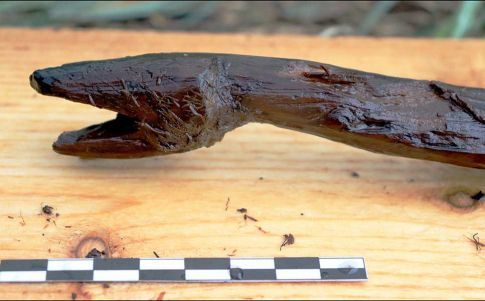 ¿El bastón de un chamán prehistórico? Descubren extraña pieza con forma de serpiente (Foto: de S. Koivisto)