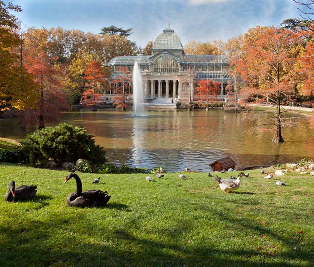 Ocultura: ¡Que vuelvan las tertulias! Ocultura: ¡Que vuelvan las tertulias!