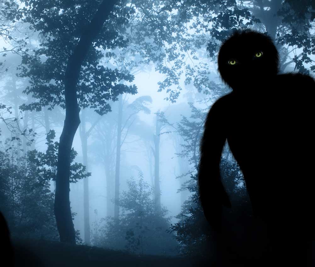 Perseguido por una "forma negra gigante"