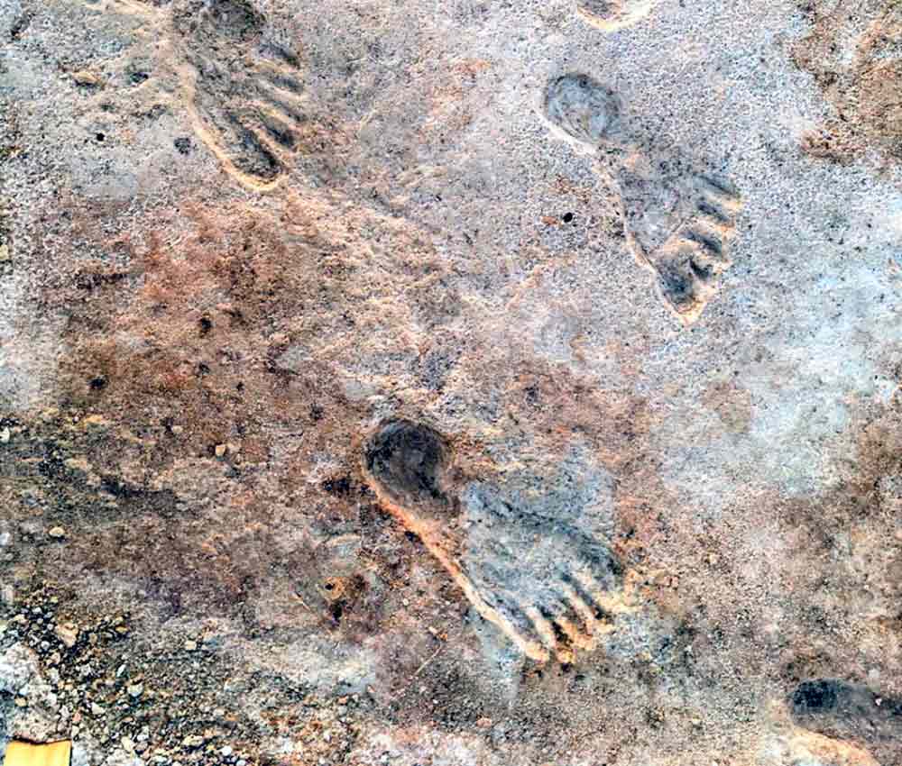 La humanidad llegó a América 10 mil años antes de lo que se creía (Créditos: Universidad de Cornell) La humanidad llegó a América 10 mil años antes de lo que se creía (Créditos: Universidad de Cornell)