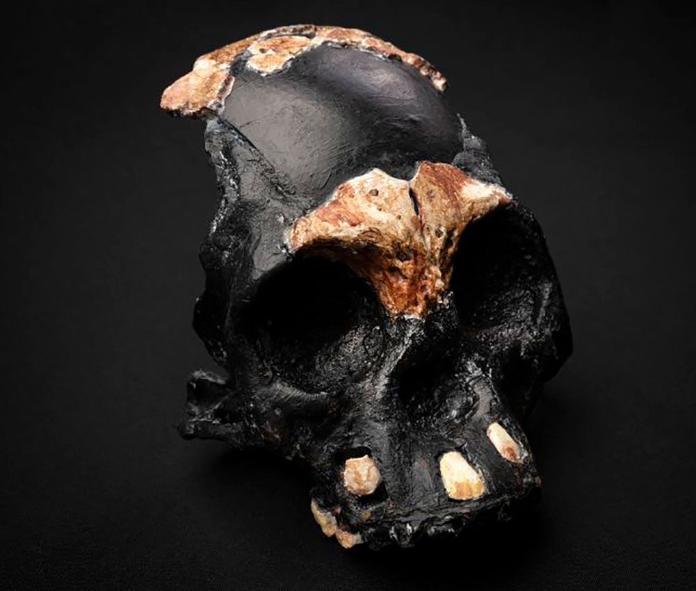El Homo Naledi practicaba ritos funerarios hace 250.000 años (Fuente: Wits University)