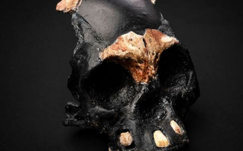 El Homo Naledi practicaba ritos funerarios hace 250.000 años (Fuente: Wits University)