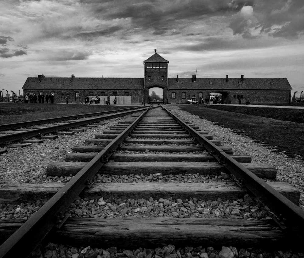 Mujeres frente al horror nazi