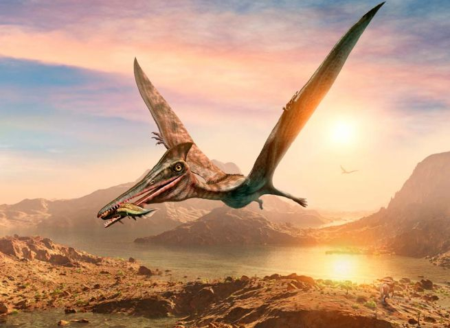 Dinosaurio volador Dinosaurio volador