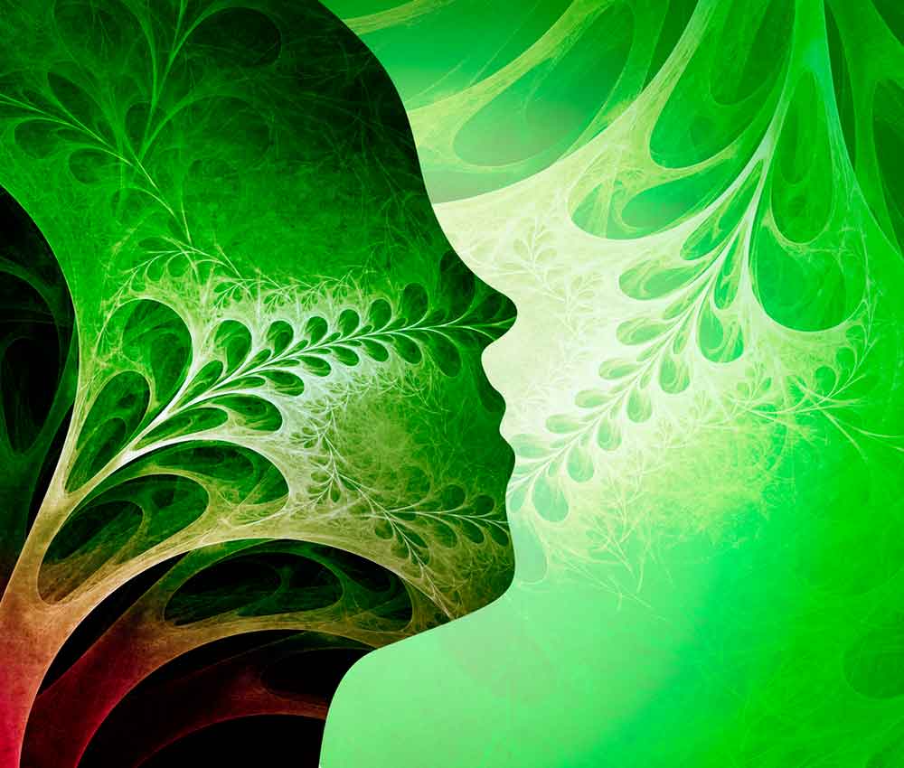 Científicos se comunican con las plantas