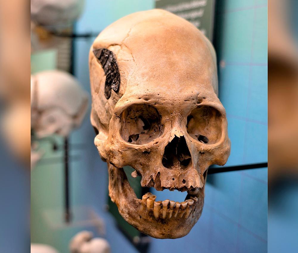 Foto cortesía del Museo de Osteología de Oklahoma City 