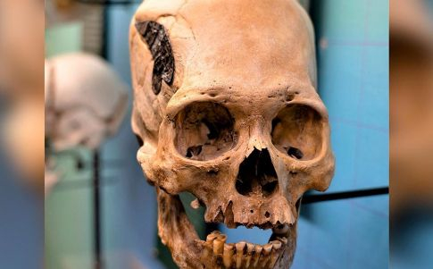 Foto cortesía del Museo de Osteología de Oklahoma City 