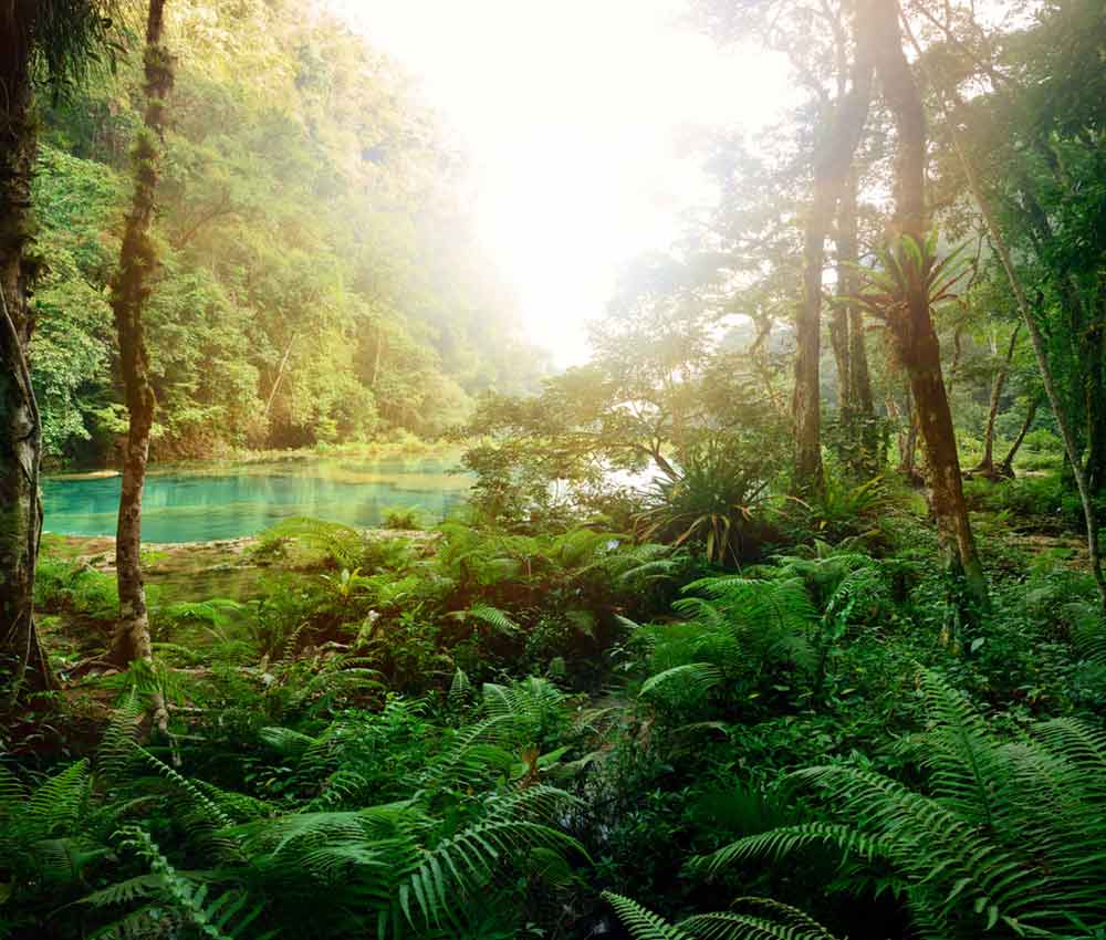 Ocultura; Mi obsesión guatemalteca