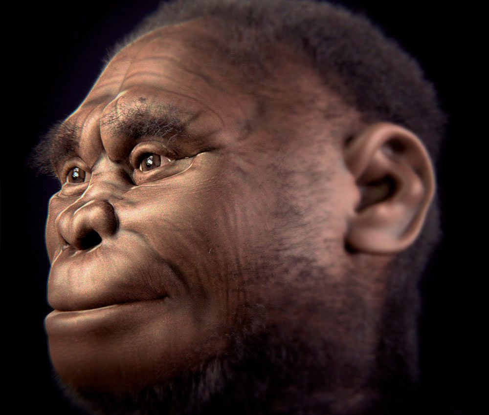 El Homo Floresiensis podría seguir vivo, según un experto