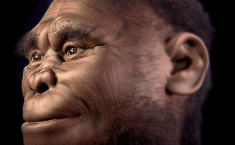 El Homo Floresiensis podría seguir vivo, según un experto