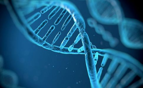 Hallan ADN extraterrestre en humanos