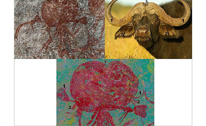 Comparativa de las figuras con un búfalo real