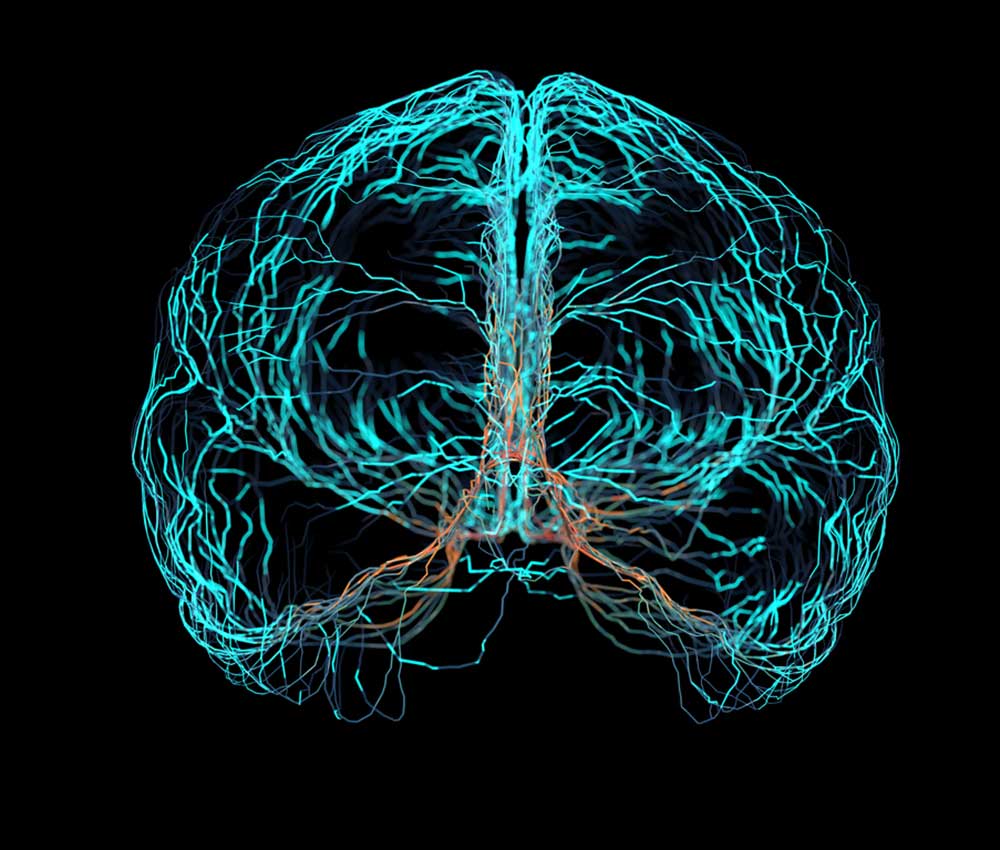 Una Inteligencia Artificial para leer tu mente Una Inteligencia Artificial para leer tu mente