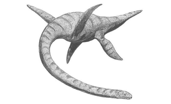 Plesosaurio