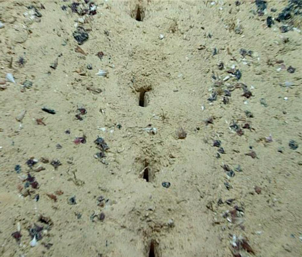 Los extraterrestres están bajo los océanos