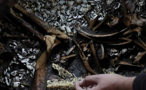 Descubren ofrendas que podrían conducir a la tumba perdida de un emperador azteca (Crédito: Reuters)