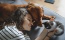 Los animales son capaces de expresar emociones de una forma muy humana