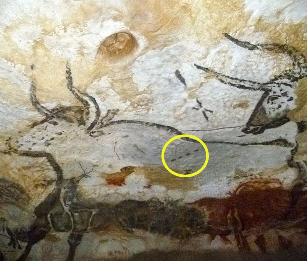 Pintura de un bóvido en la Cueva de Lascaux (Francia)