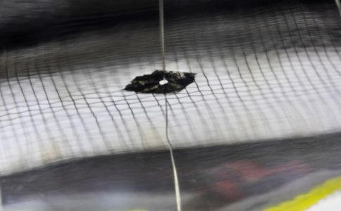 Una imagen de los experimentos