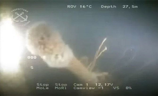 El periscopio del submarino hallado en Necochea (Foto gentileza Eslabón Perdido)
