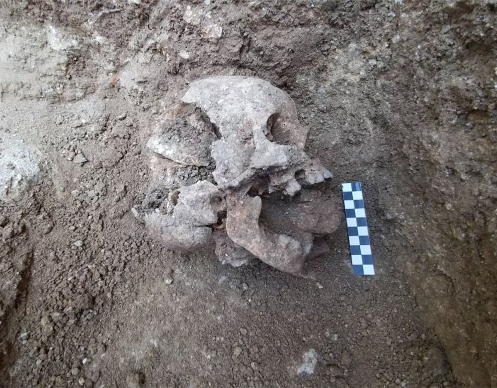 Una de las calaveras con una piedra en la boca