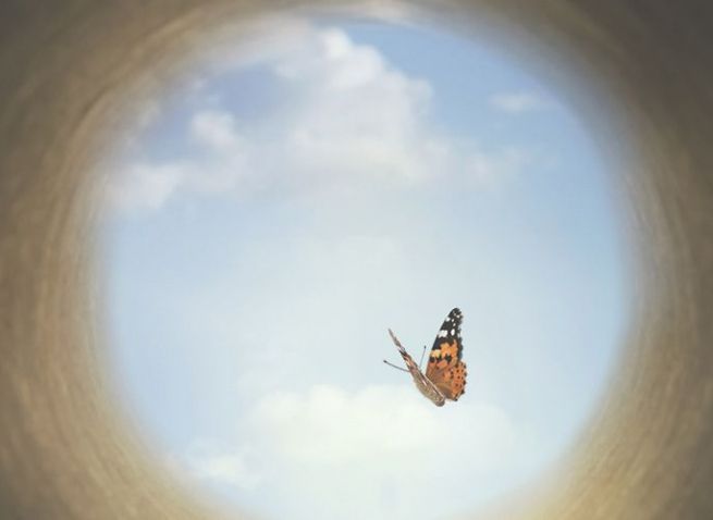 cabecera evento muerte 72 655x478