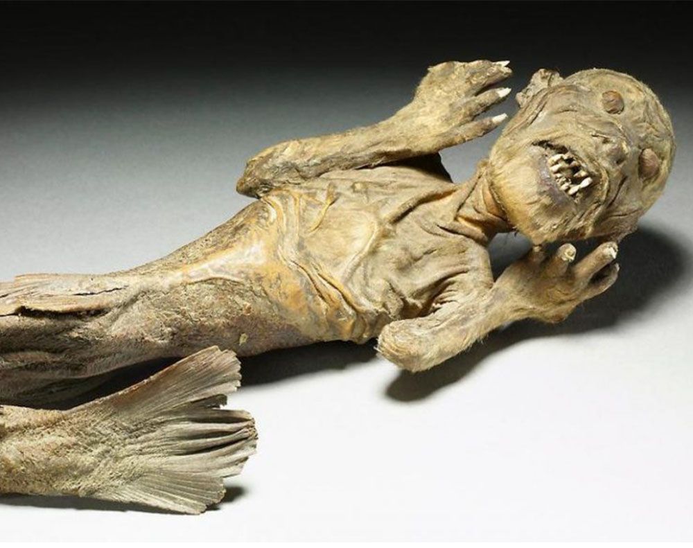 La momia de la sirena japonesa