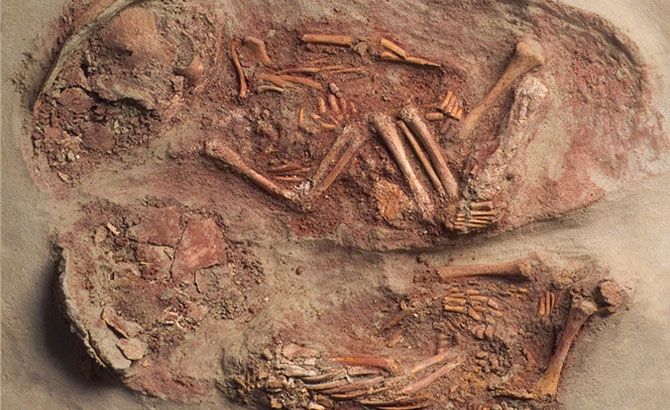 Dos gemelos recien nacidos descubiertos en Krems Wachtberg Dos gemelos recien nacidos descubiertos en Krems Wachtberg