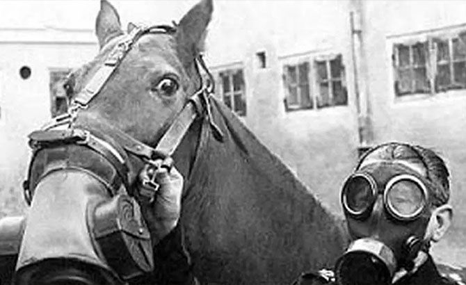Hasta los caballos llevaron máscaras de gas
