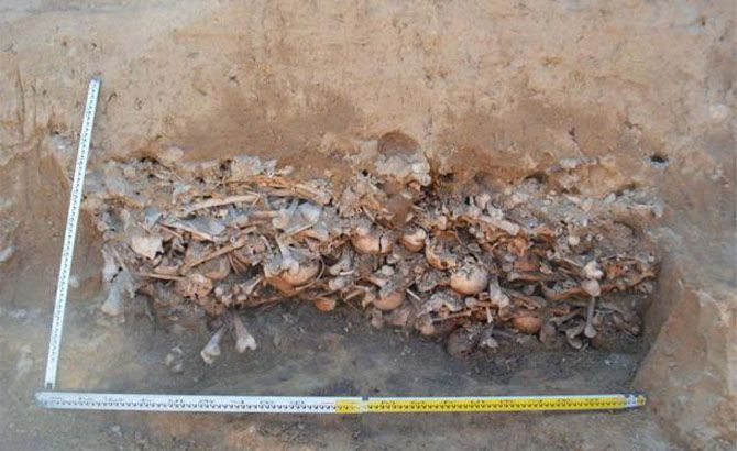 La fosa común con los vampiros La fosa común con los vampiros