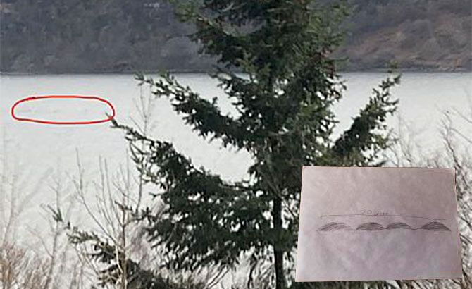 Fotografía y dibujo de Nessie, avistamiento en el mes de abril Fotografía y dibujo de Nessie, avistamiento en el mes de abril