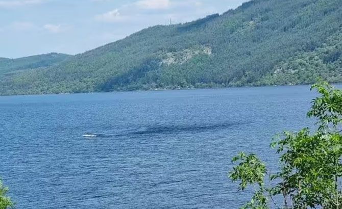 Imagen de Nessie obtenida en junio por un farmacéutico de Lyon Imagen de Nessie obtenida en junio por un farmacéutico de Lyon