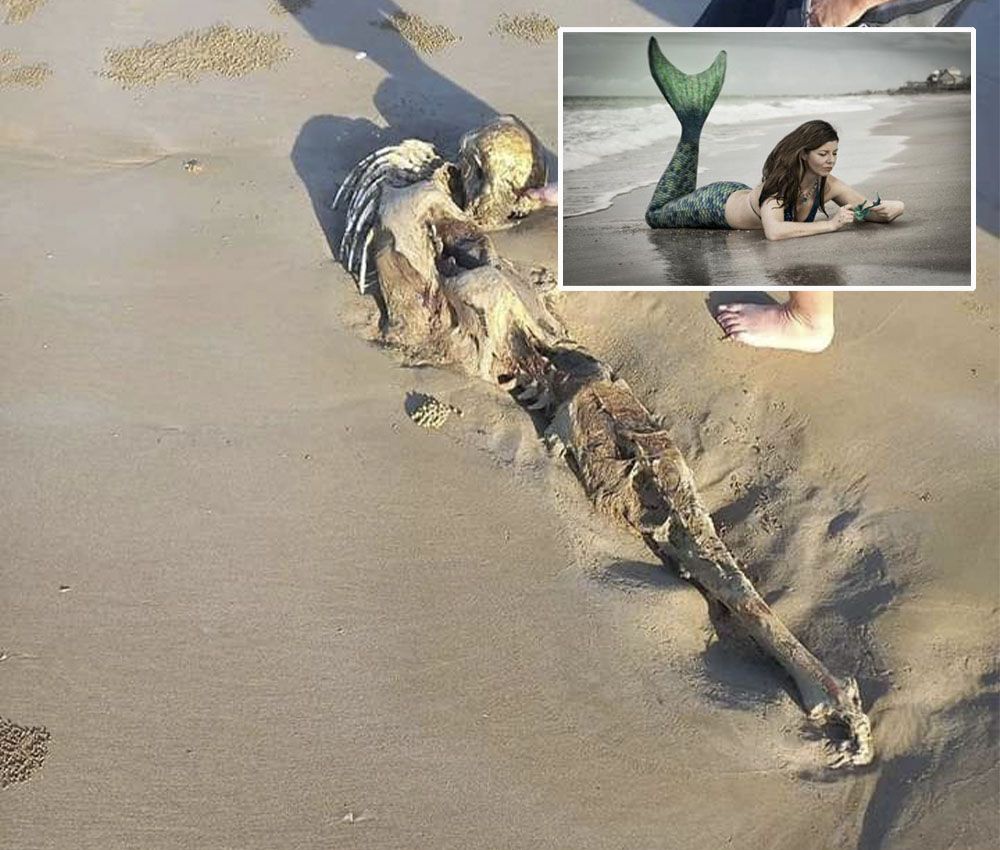 Macabro hallazgo en una playa australiana