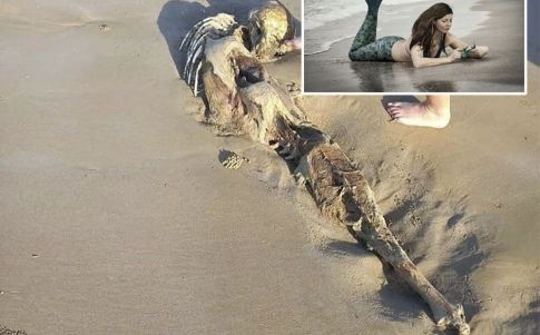Macabro hallazgo en una playa australiana