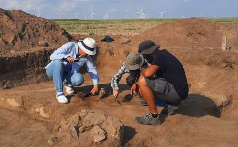 Arqueólogos examinan la tumba con el cráneo de un lobo