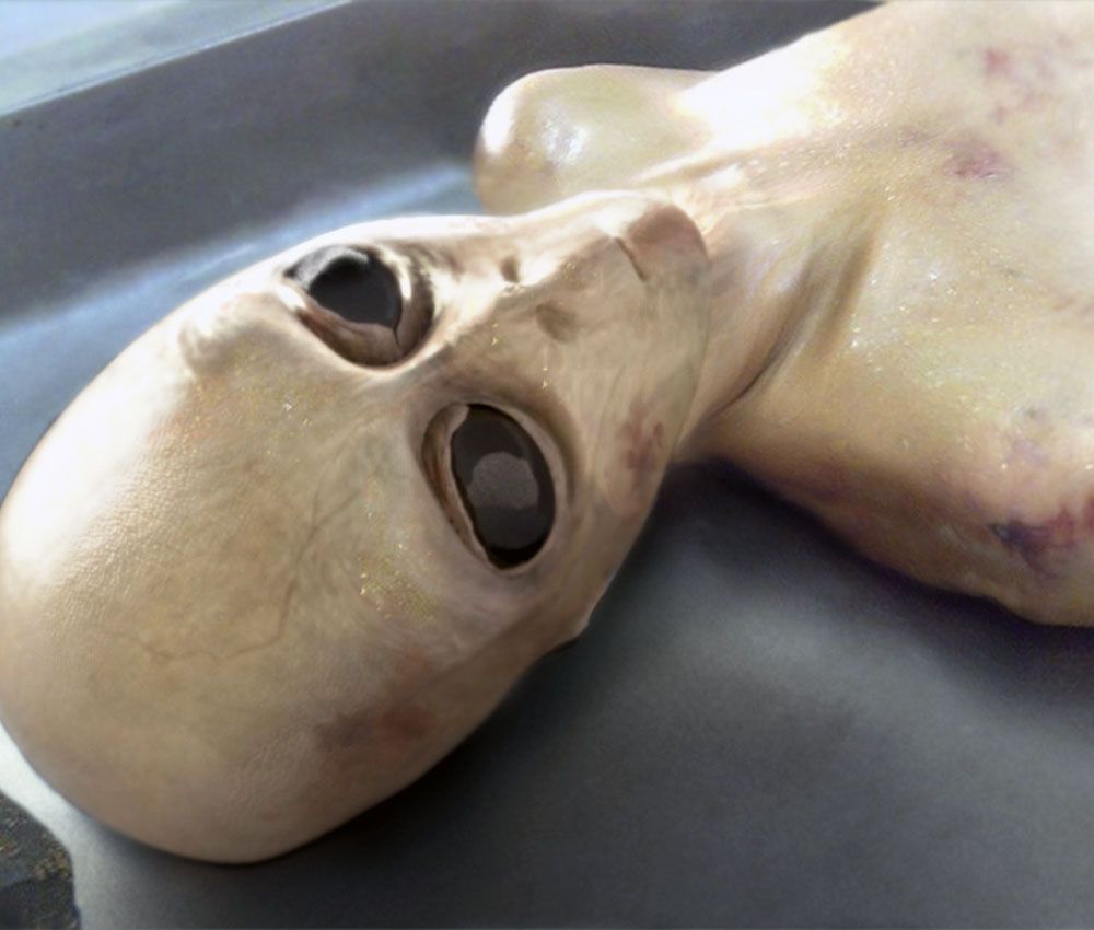 El alien Juca reaparece en escena