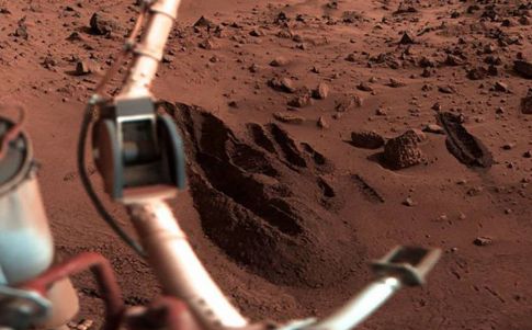 La NASA pudo eliminar vida marciana accidentalmente