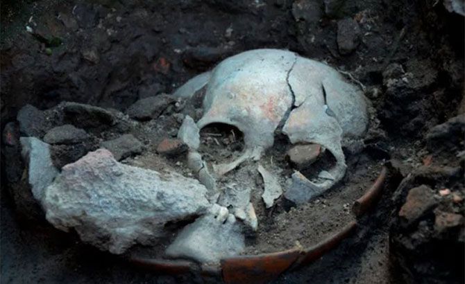 Cráneo de un prisionero de guerra víctima de un sacrificio ritual