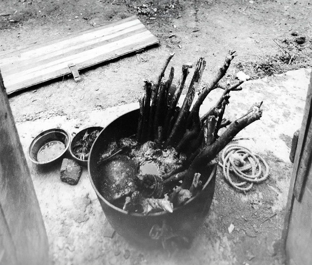 Narcocaníbales Narcocaníbales