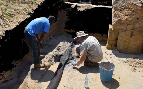 Descubrimiento arqueológico desafía la narrativa sobre los antiguos humanos