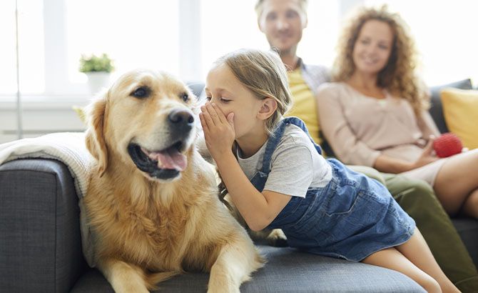 Podremos entendernos con nuestras mascotas gracias a la IA