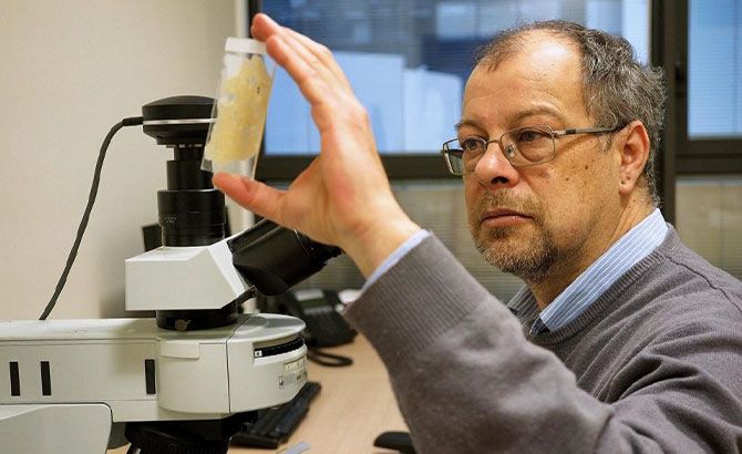 Diego Angelucci, arqueólogo de la Universidad de Trento