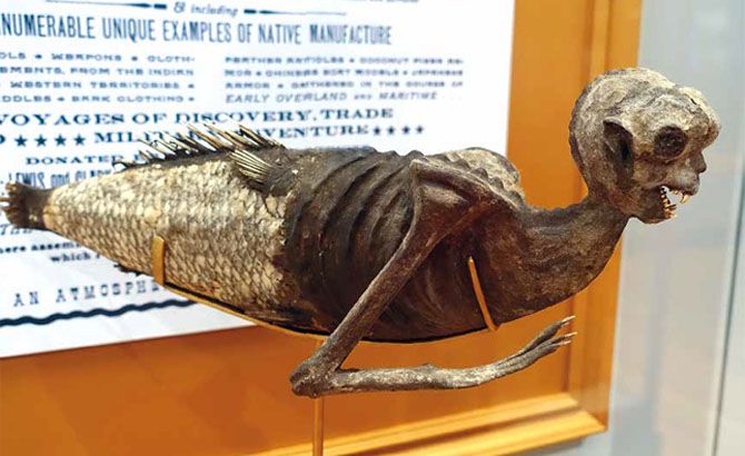 La cuestionada figura de la Sirena de Fiji