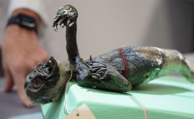 Una imagen de la presunta sirena