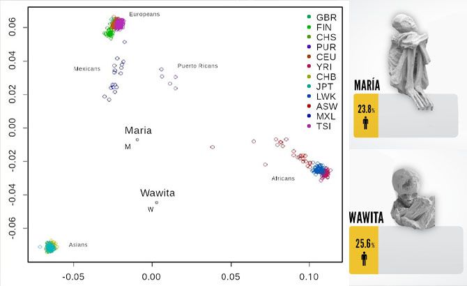 Diagrama del informe ruso, Proyecto 1000 genomas y muestras de María y Wawita