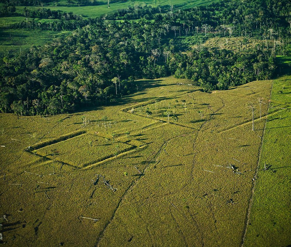 La selva esconde yacimientos inexplorados