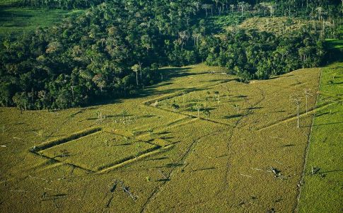 La selva esconde yacimientos inexplorados
